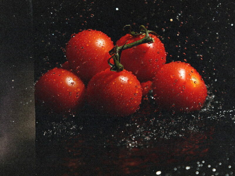 Frische Tomaten